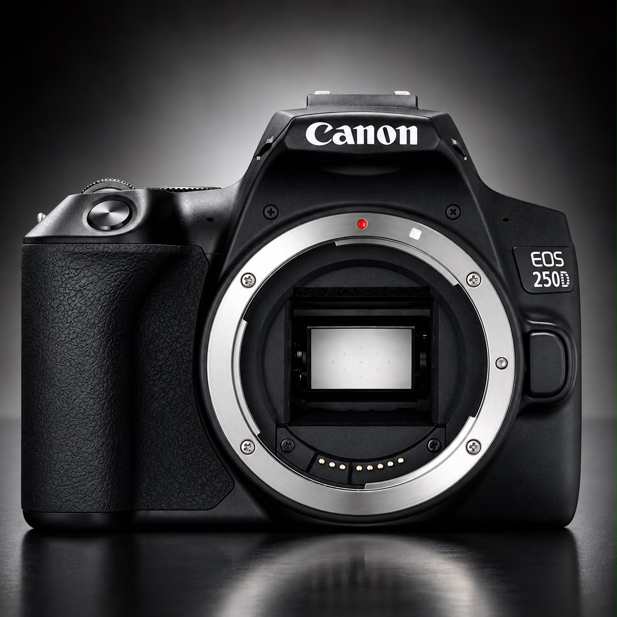 Canon EOS 250D + 50mm F1.8 STM — Occasion vue 3 - Saymon Shop